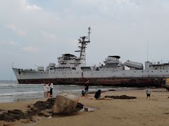 -日照海滨国家森林公园
