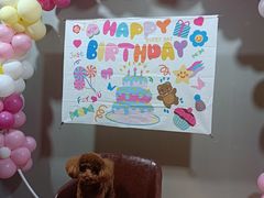 -百好乐宠物友好餐厅(朝外大街店)