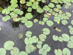 -成飞公园