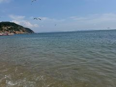 -棒棰岛宾馆景区