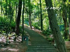 -九曜山