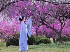 -采石矶景区