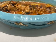 -阿五黄河大鲤鱼(海尚店)