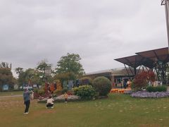 -上海长兴岛郊野公园