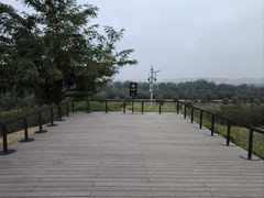 -汉长安城未央宫国家考古遗址公园