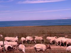 -青海湖国家重点风景名胜区