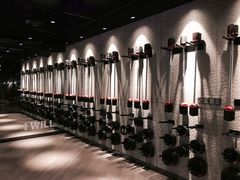 -威尔仕健身(北京合生汇店)