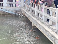 -惠州西湖风景名胜区-丰渚园