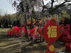-红螺寺
