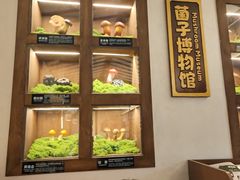 -菌自由丨野生菌火锅特色庭院餐厅(丽江古城店)