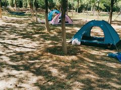 -永定河休闲森林公园