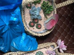 -云里小坐·小院里·团建·宴请·下午茶(三圣乡店)