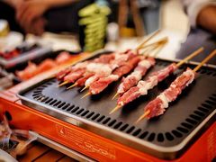 -TIPPI营地 房车主题·露营烧烤团建轰趴(天安假日店)