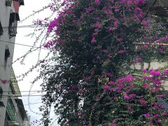 -淡水老街