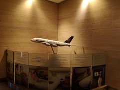 -新加坡航空公司(ION)