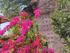 -广州莲花山旅游区