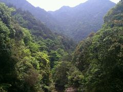 -龙湾潭国家森林公园