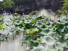 -广州莲花山旅游区
