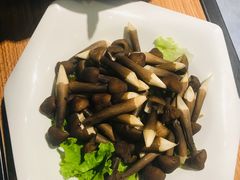 鸡枞菌-东椰·海南椰子鸡火锅(朝阳门店)