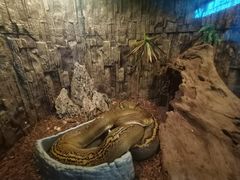 -成都浩海立方海洋公园