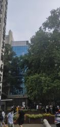 点击看大图 -河南中医药大学第一附属医院-医疗整形