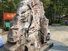 -蔡伦竹海
