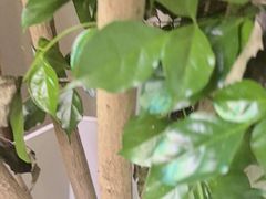 -宅里香.自然餐厅(湘大店)