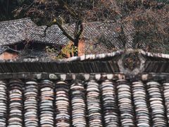 -杨家堂村