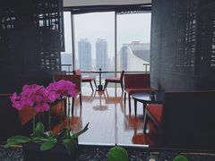 -广州富力君悦大酒店空中花园
