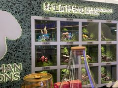 -芸山季·云南山珍菌火锅(南翔印象城MEGA店)