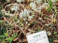 -广州神农草堂中医药博物馆