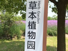 -同里国家湿地公园
