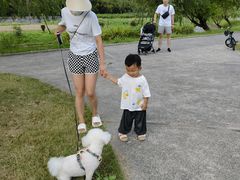 -前小桔亲子创意农场·草莓采摘·露营烧烤