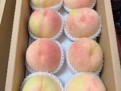 -老袁家蜜桃农场·阳山水蜜桃