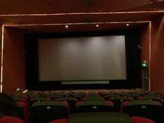 -大光明电影院(南京西路店)