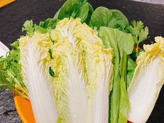 蔬菜-城南老友羊蝎子火锅(花乡奥莱店)