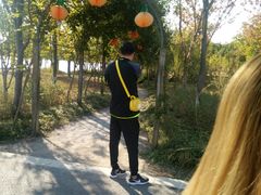 -上海长兴岛郊野公园