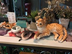 -猫色咖啡·猫咖