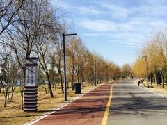 -南湖国家城市湿地公园