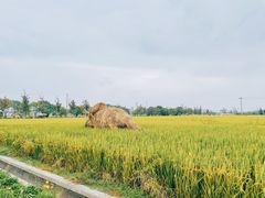 -嘉北郊野公园