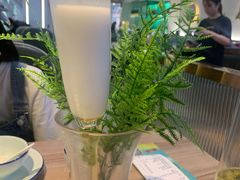 -探窝·竹笙椰子鸡(杨箕店)