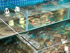 -北戴河庆山饭店·海鲜砂锅粥(北戴河黑石路店)