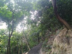 -火炉山森林公园