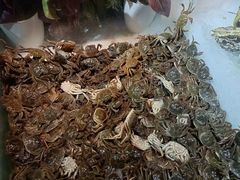 -鑫海汇海鲜烤肉自助(北国商城店)