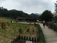 -德庆盘龙峡生态旅游区