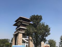 -大湾区中央湿地公园
