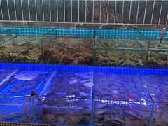 -海韵之星邮轮水会(明发商业广场店)