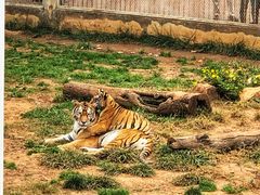-昆明动物园