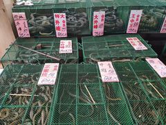 -荔城生鲜盛宴(番禺旗舰店)