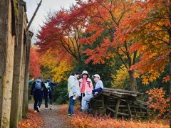 -杭州半山国家森林公园